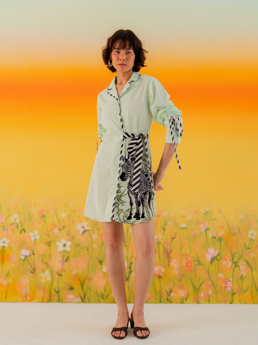 Latitude Dress